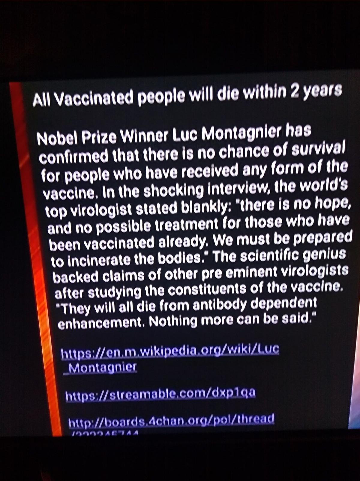 This another post by French virologist and Nobel Prize winner Luc Montagnier 