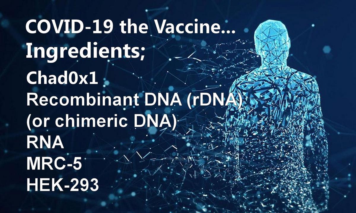 COVID-19 Vaccine ingredients
